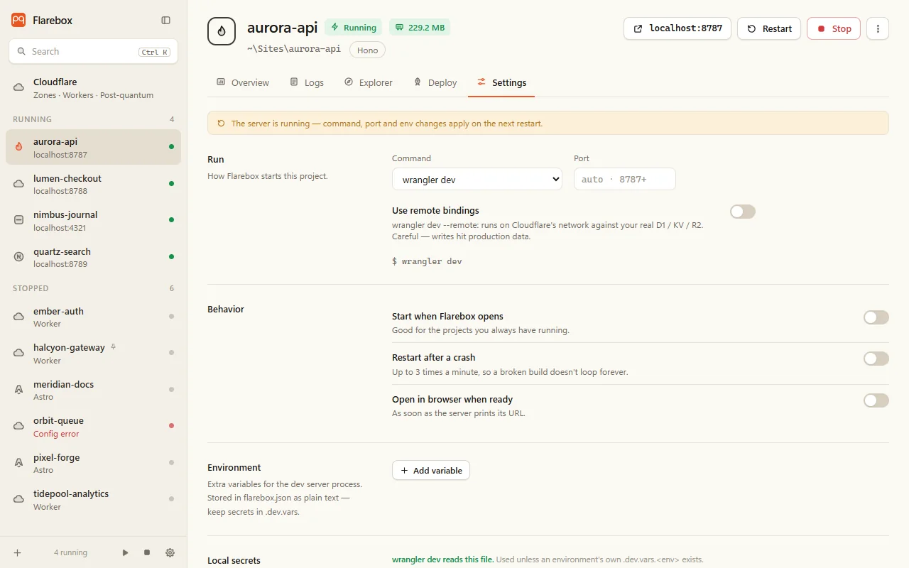 A project's Settings tab: command, port, behaviour and environment